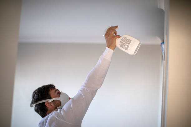 Reliable Brookside, DE Mold Removal Solutions